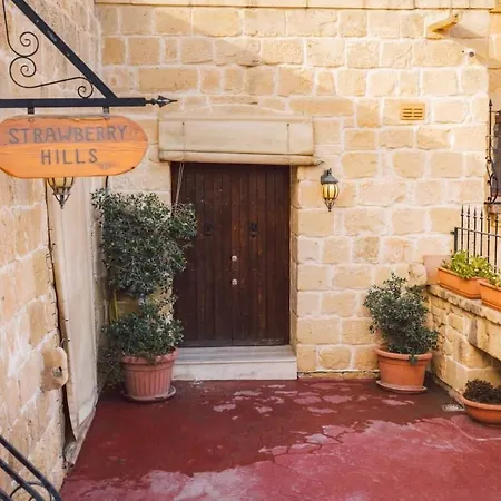 Strawberry Hills Zejtun